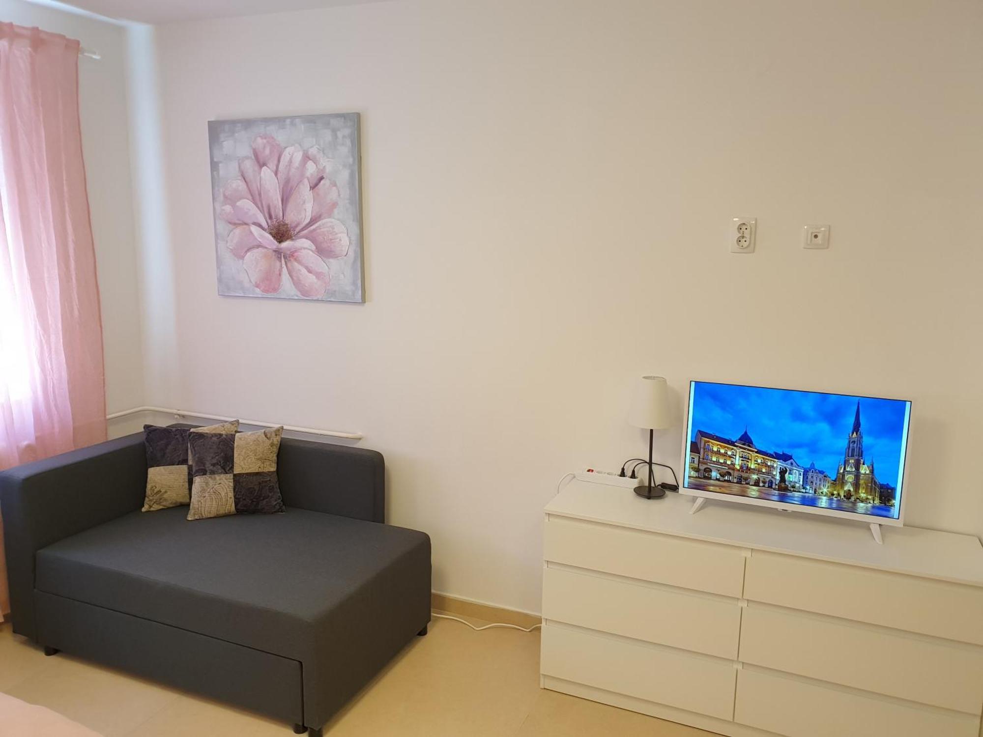 Podbara Center Apartment Нови Сад Екстериор снимка